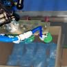 Buy cheap Flexible Stainless Steel Spider Hand Carton Packer With Precision ABB Or FANUC Arms For Reliable Packaging from wholesalers