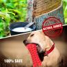 Buy cheap Red Color Large Dog Tough Chew Toys 6.5*2.7 Inch Eco Friendly Rubber Material from wholesalers