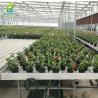 Buy cheap Hot Galvanized Greenhouse Rolling Benches Earthquake Proof Ebb And Flood Benches from wholesalers