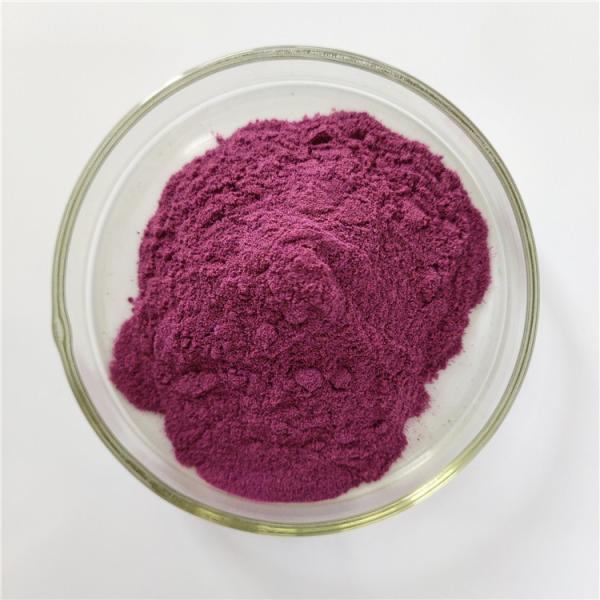Buy cheap buy Hot Sale energy supplement chokeberry extract from wholesalers