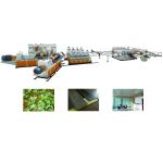 Jwell Indoor Decorative Materials PVC Semi Skinning Board Plastic Machine