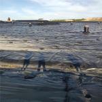 24-Hour Working Black HDPE 1mm Plastic Geomembrane with Smooth and Impermeable