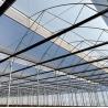 Buy cheap Customized Snow Vibrator Greenhouse for Tomato Planting Single or Multi Span Large from wholesalers