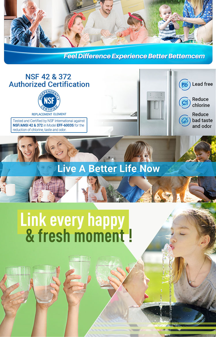 LT500P Fridge Water Filter Cartridge Replacement for Ozone Water Purification Systems