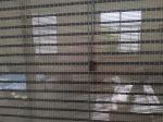 1.6m 2.1m Width Roman Bamboo Kitchen Blinds