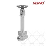 Cryogenic Gate Valve Low Temperature Gate Valve Stainless Steel DN20 800LB