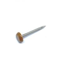 Buy cheap A4 Stainless Steel Plastic Head Nails product