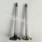 Silvery & Black P40 Nissan Intake And Exhaust Valve 13202-58000 13202-58002