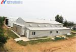 H Type Chicken Layer Cage Hot Dip Galvanized Steel 3 Tier Poultry Cage