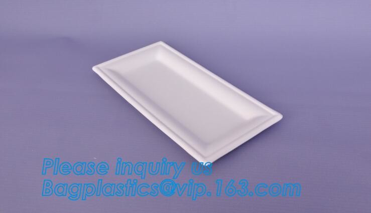 good sale biodegradable disposable corn starch plastic plate for party,Disposable corn starch plates biodegradable corn