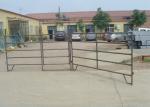 Square Style Galvanized Cattle Panels , Livestock Metal Fence Panels CE