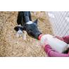 Buy cheap 4Litre Easy To Clean White Calf Feeding Bottle With Anti Slip Grip from wholesalers