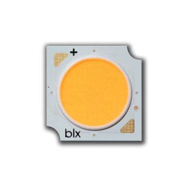 Buy cheap BXRE-40G1000-C-83 from wholesalers