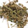 Buy cheap Liver protection natural herbal ingredients, Aiye Leaf P.E 10:1, Dermatitis Treatment Oncosphere, Penthorum Chinese P.E from wholesalers