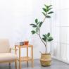 Buy cheap Artificial Potted Floor Plants Small Ficus Pandurata For Garden Decoration from wholesalers