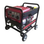 192F Diesel Powered Welding Machine 12.5L Diesel Powered Welder Generator