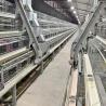 Buy cheap Hot Galvanized Poultry Farm Laying Hens Equipment System Automatic Battery Layer Chicken Cage from wholesalers