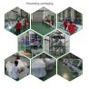 Buy cheap Automatic Intelligent Grain Color Sorter Machine With Excellent Rejection Rate from wholesalers