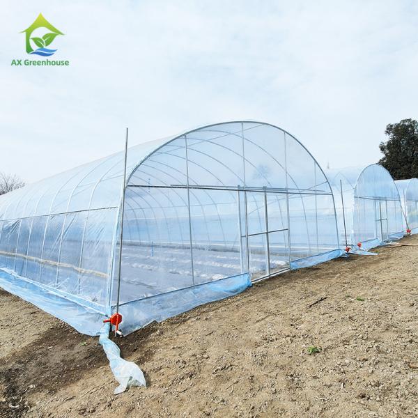 Buy cheap Agricultural Plastic Film Shed Poly Tunnel Vegetable Greenhouse with Cooling / Heating / Irrigation System from wholesalers