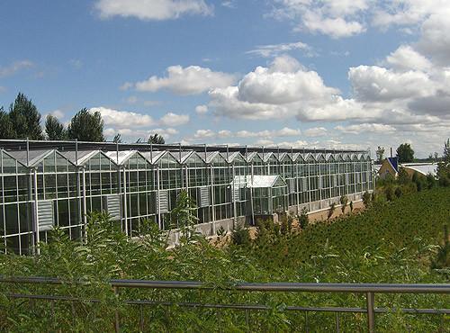 Buy cheap Water Proof Agricultural Glass Greenhouse , Diy Tomato Greenhouse Good Light Transmittance from wholesalers