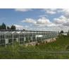 Buy cheap Water Proof Agricultural Glass Greenhouse , Diy Tomato Greenhouse Good Light Transmittance from wholesalers