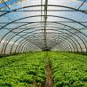 Buy cheap Agriculture Mushroom Management Greenhouse Planting Vegetables Fruits Single-Span Greenhouses from wholesalers