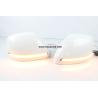 Buy cheap Nissan Patrol Flowing LED Side RearView Mirror Cover Replacement Turn Signal Lights from wholesalers