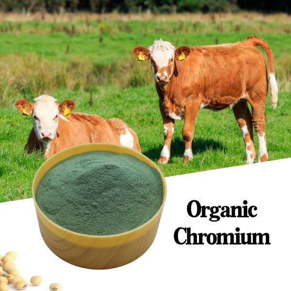 Buy cheap 8% Chromium Amino Acid Organic Protein Animal Feed Additive Green Powder CAS7440-47-2 from wholesalers