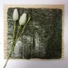 Buy cheap Hot Selling Wholesale Sushi Nori Roasted Seaweed Nori Sheets from wholesalers