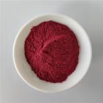 Wholesale Elderberry Powder For Instant Tea Powder