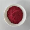Buy cheap Wholesale Elderberry Powder For Instant Tea Powder from wholesalers