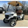 Buy cheap 2 Seater Electric Golf Cart Optional Lithium Battery Mini Durable Electric Golf Buggy from wholesalers