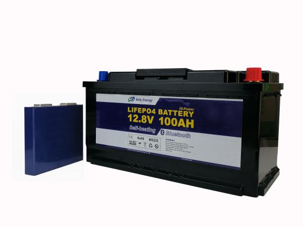 Buy cheap Caravans UPS 12V 100AH LiFePO4 Lithium Battery With Heating Elements Bluetooth from wholesalers