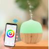 Buy cheap Smart Voice Ultrasonic Wifi Aromatherapy Essential Oil Diffuser from wholesalers