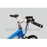 Buy cheap 36V 250W Electric Mountain Bicycle , Electric Mountain Bike With Suspension from wholesalers