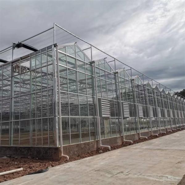 Buy cheap Heating System Serra Di Vetro Multi-Span Greenhouse Venlo Greenhouse Spare Parts Venlo Glass Winter Greenhouse from wholesalers