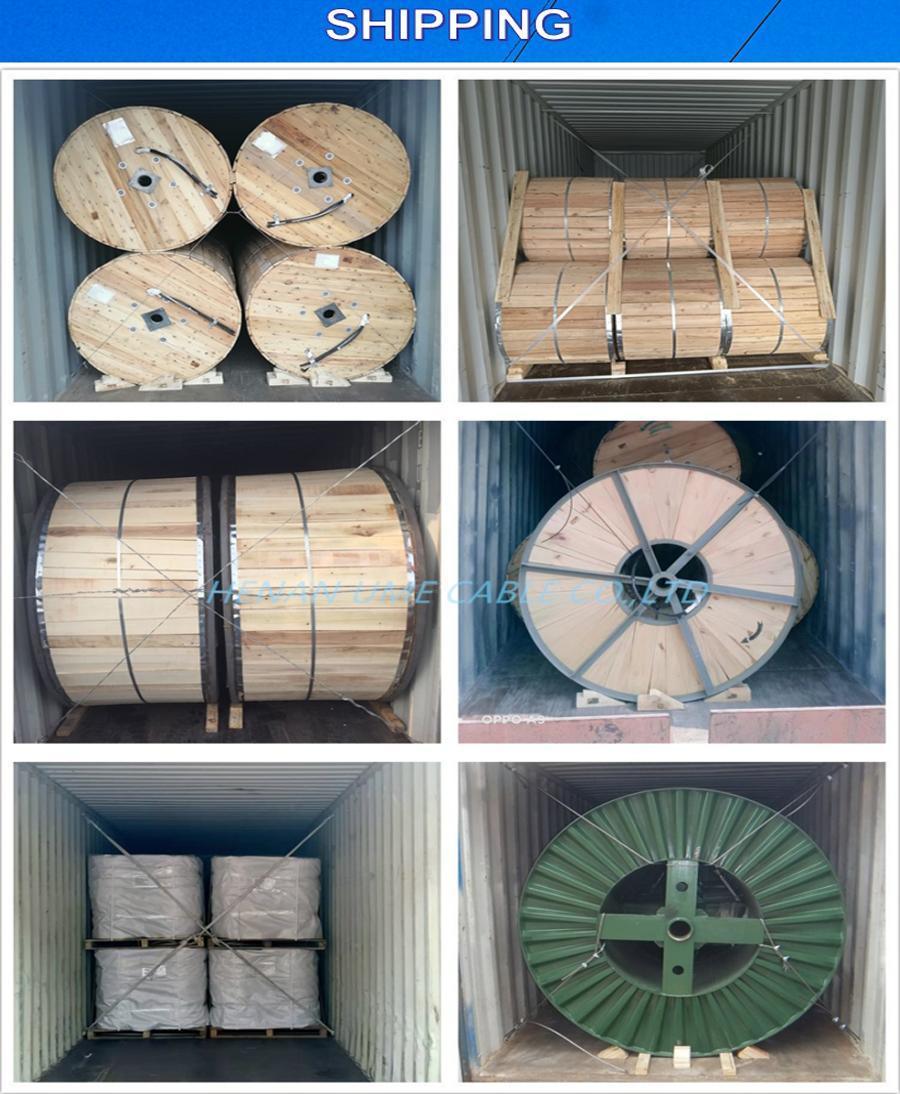 ISO High Quality Overhead Tansimission Line Bare Conductor All Aluminum Conductor AAC