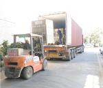 Manufacturing Vendors' Top Choice Flexible Stainless Steel Armored Fiber Optic