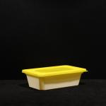 650ml PP Lunch Box Leak Proof For Food Storage For Outdoor Picnic