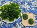 Sustainably Harvested Sea Ulva Lactuca Seaweed Green Laver Powder For Cuisine