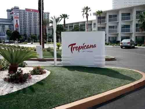 Buy cheap Hotel Health Green Landscaping Artificial Grass Recyclable 40mm Height from wholesalers