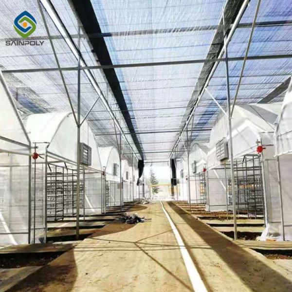 Buy cheap Herbs 200 Micron PE 30m Light Deprivation Greenhouse from wholesalers