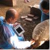Buy cheap B Mode Medical Ultrasound Machine Diagnostic KX5100 VET Veterinary Instruments from wholesalers