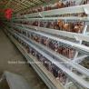 Buy cheap Semi Automatic 3.5mm Layer Battery Cage System Poultry Farming Equipment Ada from wholesalers
