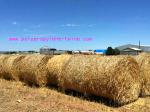 Custom 2G/M Gardening S Twist Hay Baling Twine PP Split Film Rope LT013