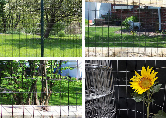cold Galvanized 16GA Welded Wire Mesh Rolls 2x3 inch for Home Garden Fence