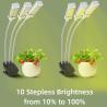 Buy cheap 12W 3Heads LED Clip Grow Light Dimmable Table Clip Lamp Full Spectrum from wholesalers