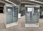 Glass Door Chiller Freezer Cabinet Height 2.0m Series Plug In Type