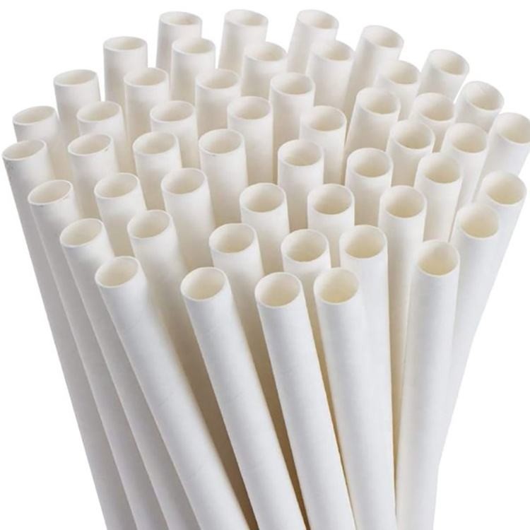 PLA Drink And Milk Tea Straws Disposable 6*230