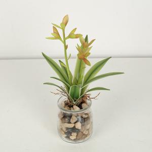 Buy cheap Mini Artificial Agave Bonsai With Glass Pot from wholesalers
